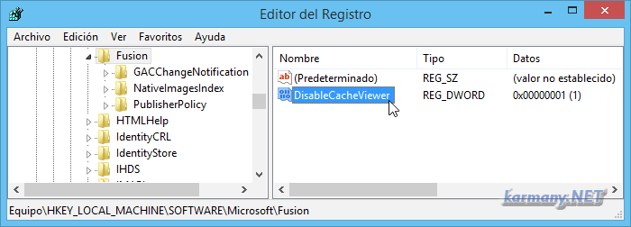 Registro de Windows, DisableCacheViewer